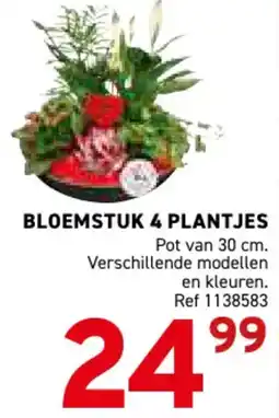 Trafic Bloemstuk 4 plantjes aanbieding