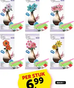 Boekenvoordeel Dotty designs aanbieding