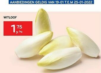Alvo Witloof aanbieding