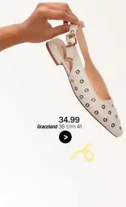 vanHaren Graceland aanbieding