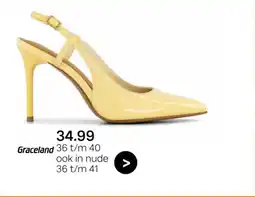 vanHaren Graceland aanbieding