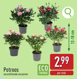 ALDI Potroos aanbieding