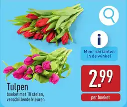 ALDI Tulpen aanbieding