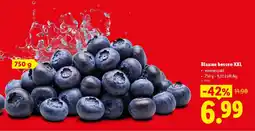 Lidl Blauwe bessen XXL aanbieding