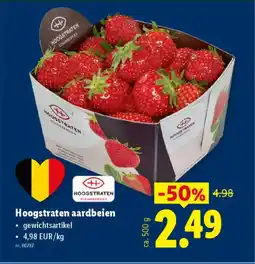 Lidl Hoogstraten aardbeien aanbieding
