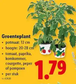 Lidl Groenteplant aanbieding