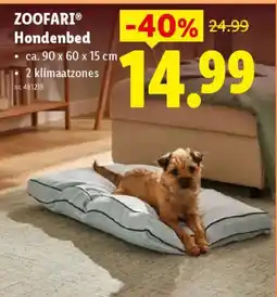 Lidl Zoofari hondenbed aanbieding
