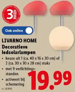 Lidl Livarno home decoratieve ledsolarlampen aanbieding