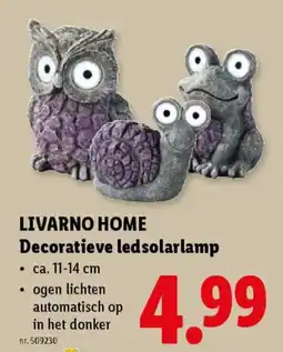 Lidl Livarno home decoratieve ledsolarlamp aanbieding
