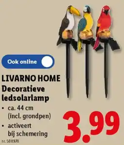 Lidl Livarno home decoratieve ledsolarlamp aanbieding