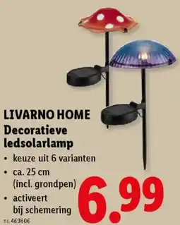 Lidl Livarno home decoratieve ledsolarlamp aanbieding