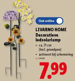Lidl Livarno home decoratieve ledsolarlamp aanbieding