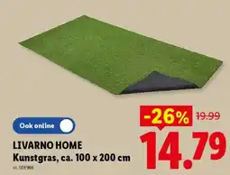 Lidl Livarno home kunstgras aanbieding