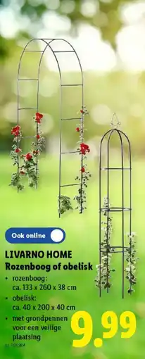 Lidl Livarno home rozenboog of obelisk aanbieding
