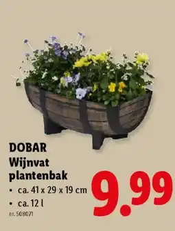 Lidl Dobar wijnvat plantenbak aanbieding