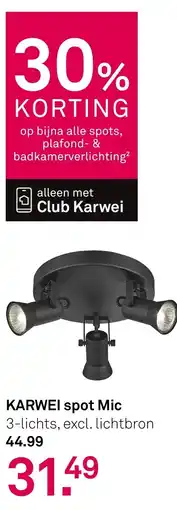 Karwei KARWEI spot Mic aanbieding