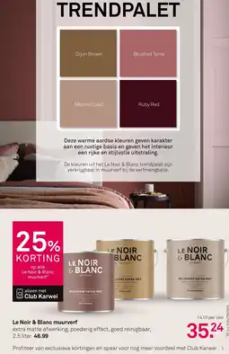Karwei Le noir & blanc muurverf aanbieding