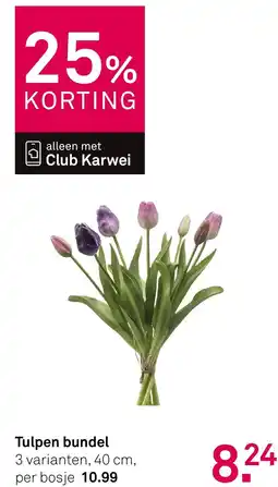 Karwei Tulpen bundel aanbieding