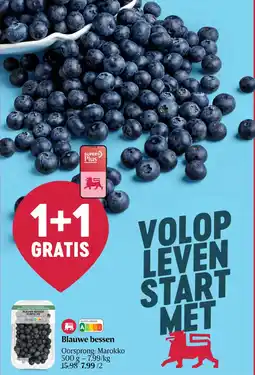 Delhaize Blauwe bessen aanbieding