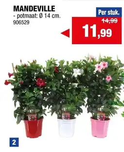 Hubo Mandeville aanbieding