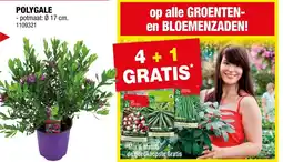 Hubo Polygale aanbieding