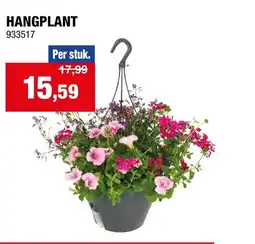 Hubo Hangplant aanbieding