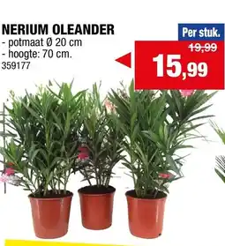 Hubo Nerium oleander aanbieding