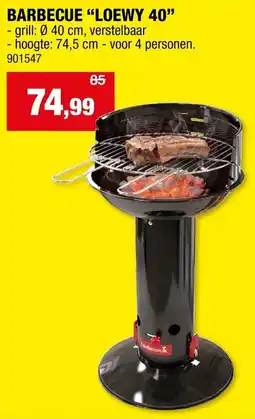Hubo Barbecue loewy 40 aanbieding