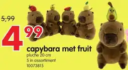 Yess Capybara met fruit aanbieding