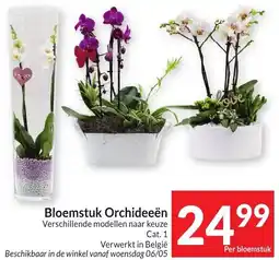Intermarché Bloemstuk Orchideeën aanbieding