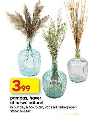 Yess Pampas, Haver Of Tarwe Naturel aanbieding