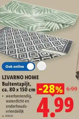 Lidl Livarno home Buitentapijt aanbieding