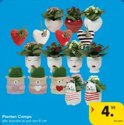 Carrefour Planten Compo aanbieding