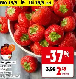 Colruyt Hoogstraten aardbeien 500 g aanbieding