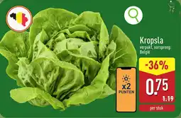 ALDI Kropsla aanbieding