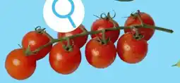 ALDI Kerstrostomaten aanbieding