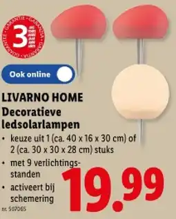 Lidl Decoratieve ledsolarlampen aanbieding