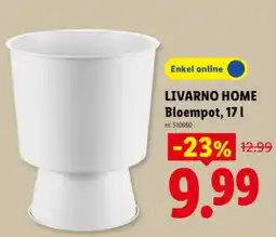 Lidl Bloempot, 171 aanbieding