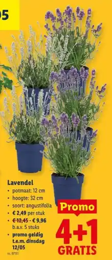 Lidl Lavendel aanbieding