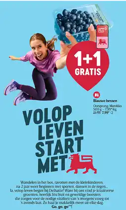 Delhaize Myrtilles aanbieding