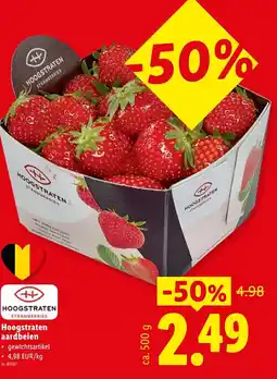 Lidl Hoogstraten aardbeien aanbieding