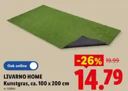 Lidl Kunstgras, ca. 100 x 200 cm aanbieding