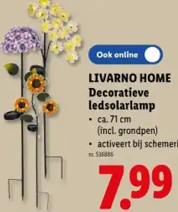 Lidl Decoratieve ledsolarlamp aanbieding