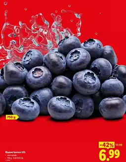 Lidl Blauwe bessen XXL aanbieding
