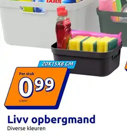 Action Livv opbergmand 20X15X8 CM aanbieding
