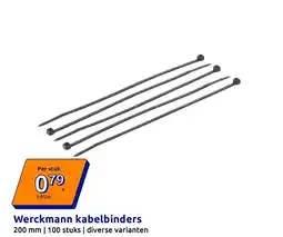 Action Werckmann kabelbinders aanbieding