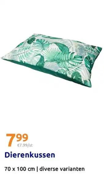 Action Dierenkussen aanbieding