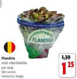 Colruyt Flandria aanbieding