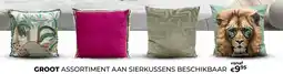Euroshop Sierkussens aanbieding