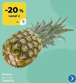 Bio Planet Ananas aanbieding
